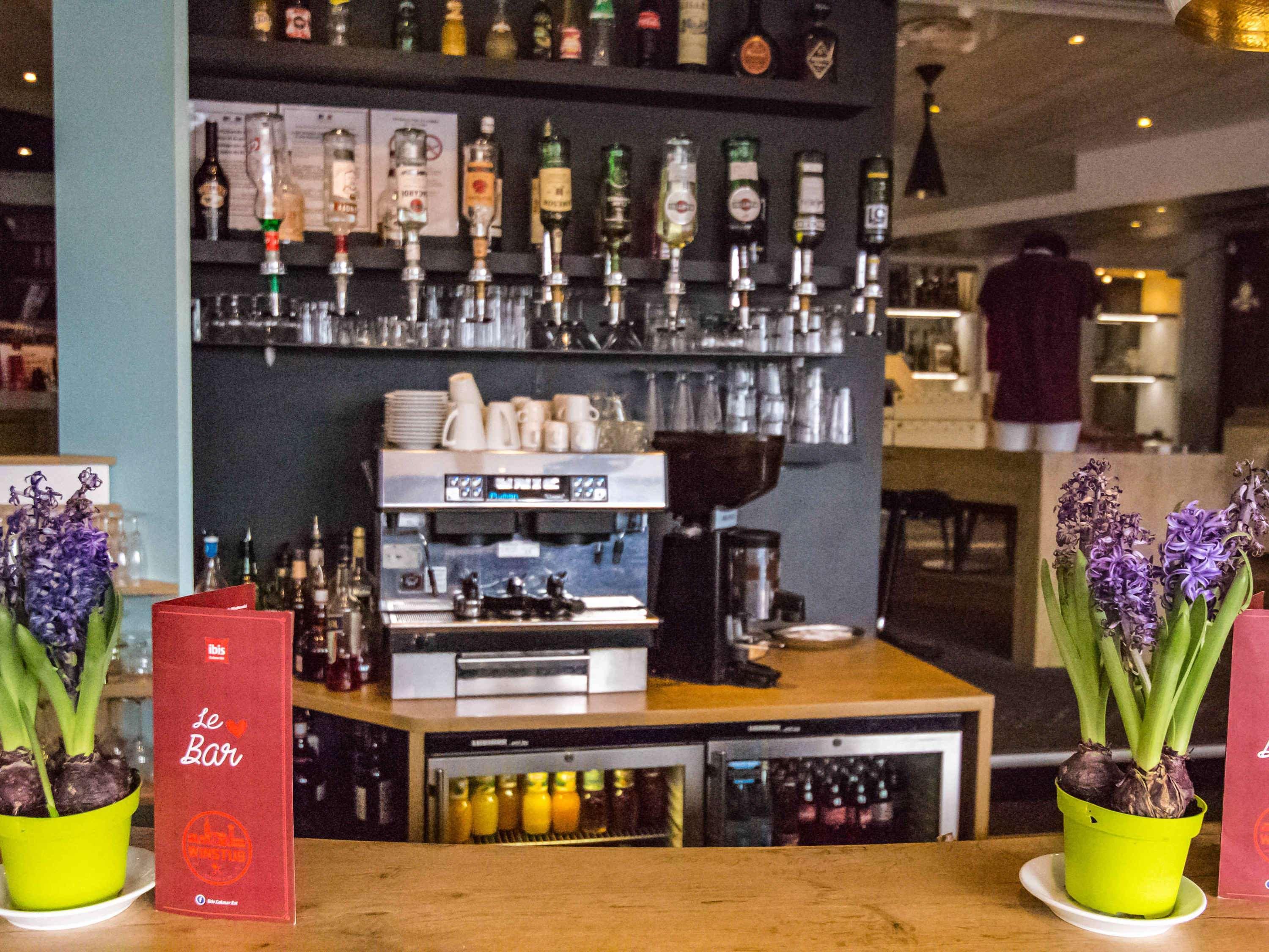 Ibis Colmar Est - Hotel Restaurant En Alsace Horbourg-Wihr Exterior photo